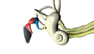adobe express file (13)