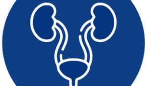 adobe express file (18)