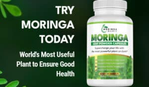 moringa