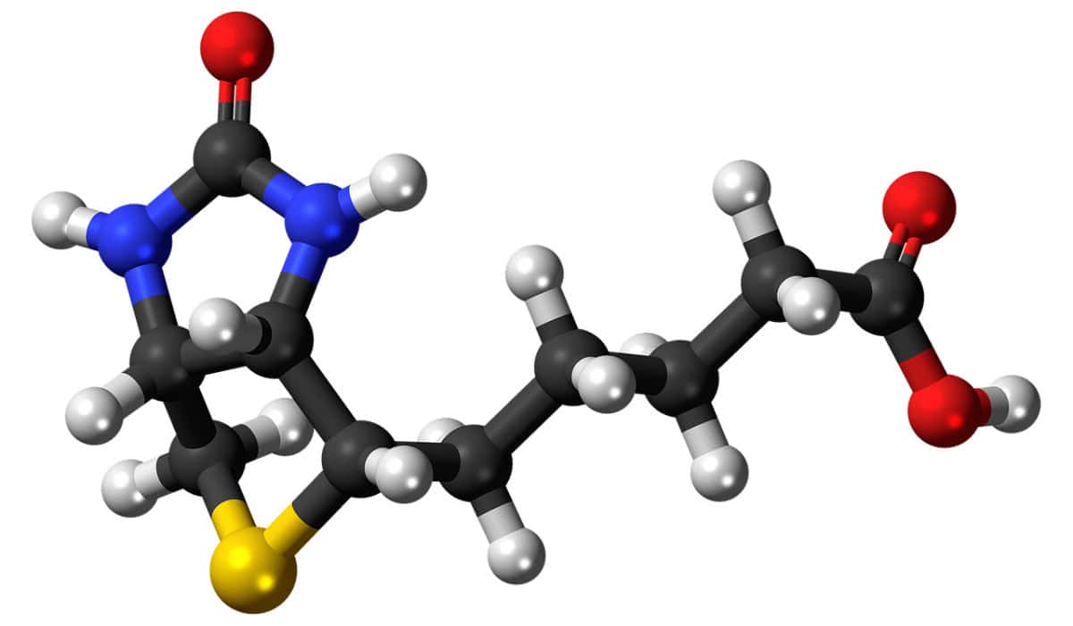 biotinhair